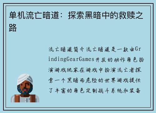 单机流亡暗道：探索黑暗中的救赎之路